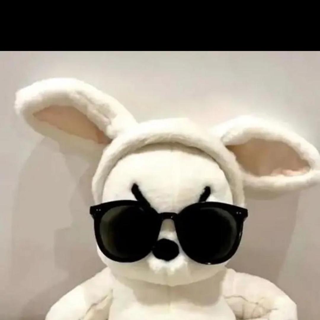 🐰賊啦帅的兔子🐰