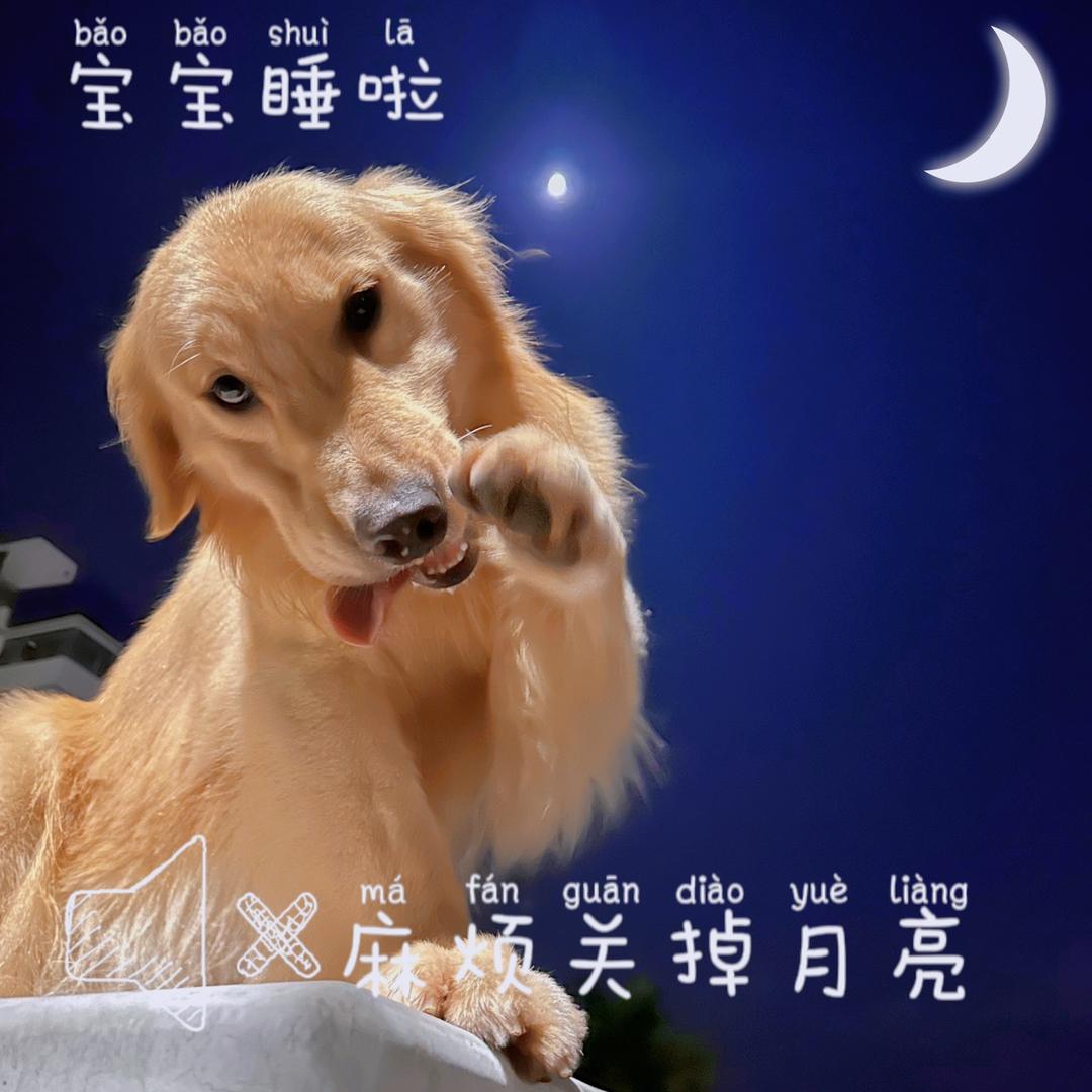 肉丸家自制宠物零食