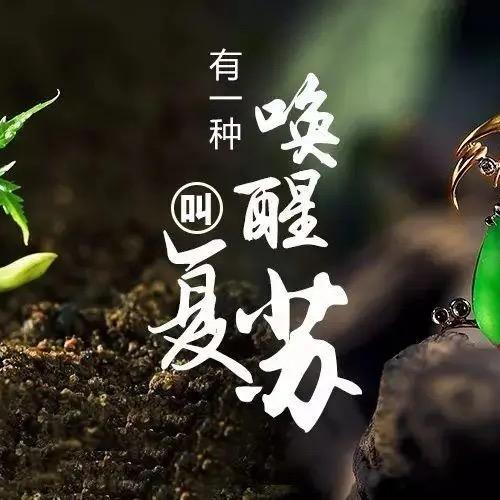 夏蝉