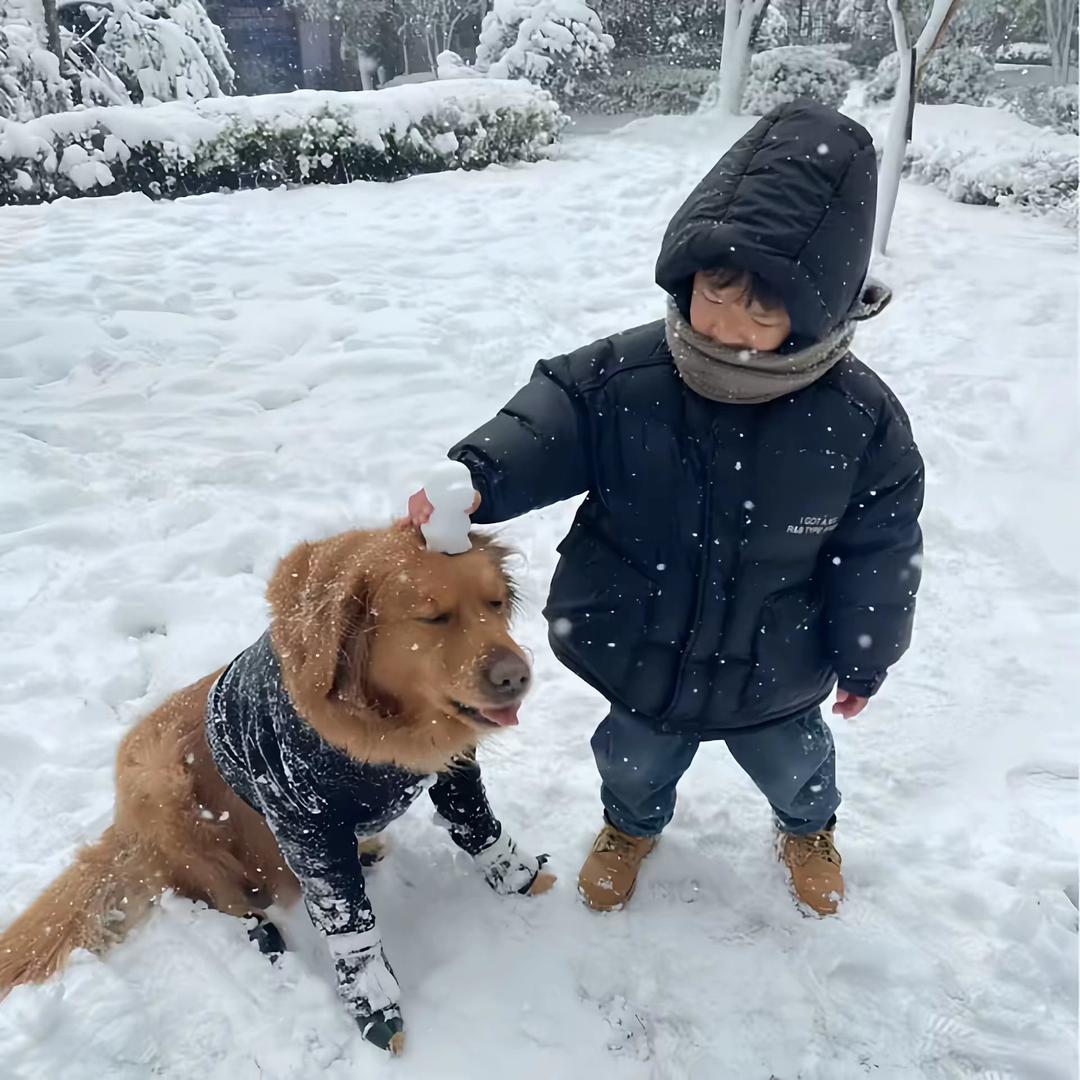 曹曹