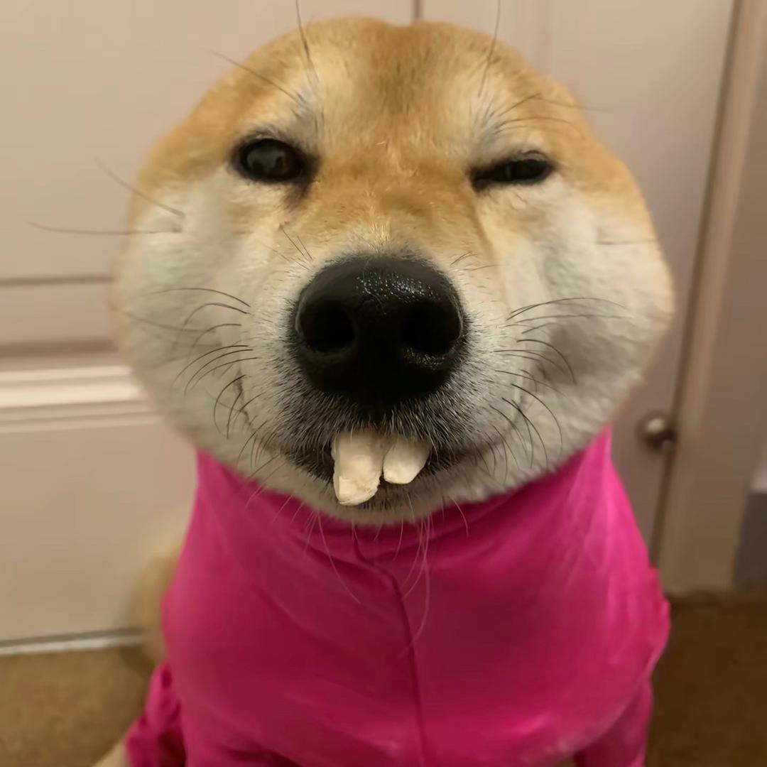 腋毛香小姐