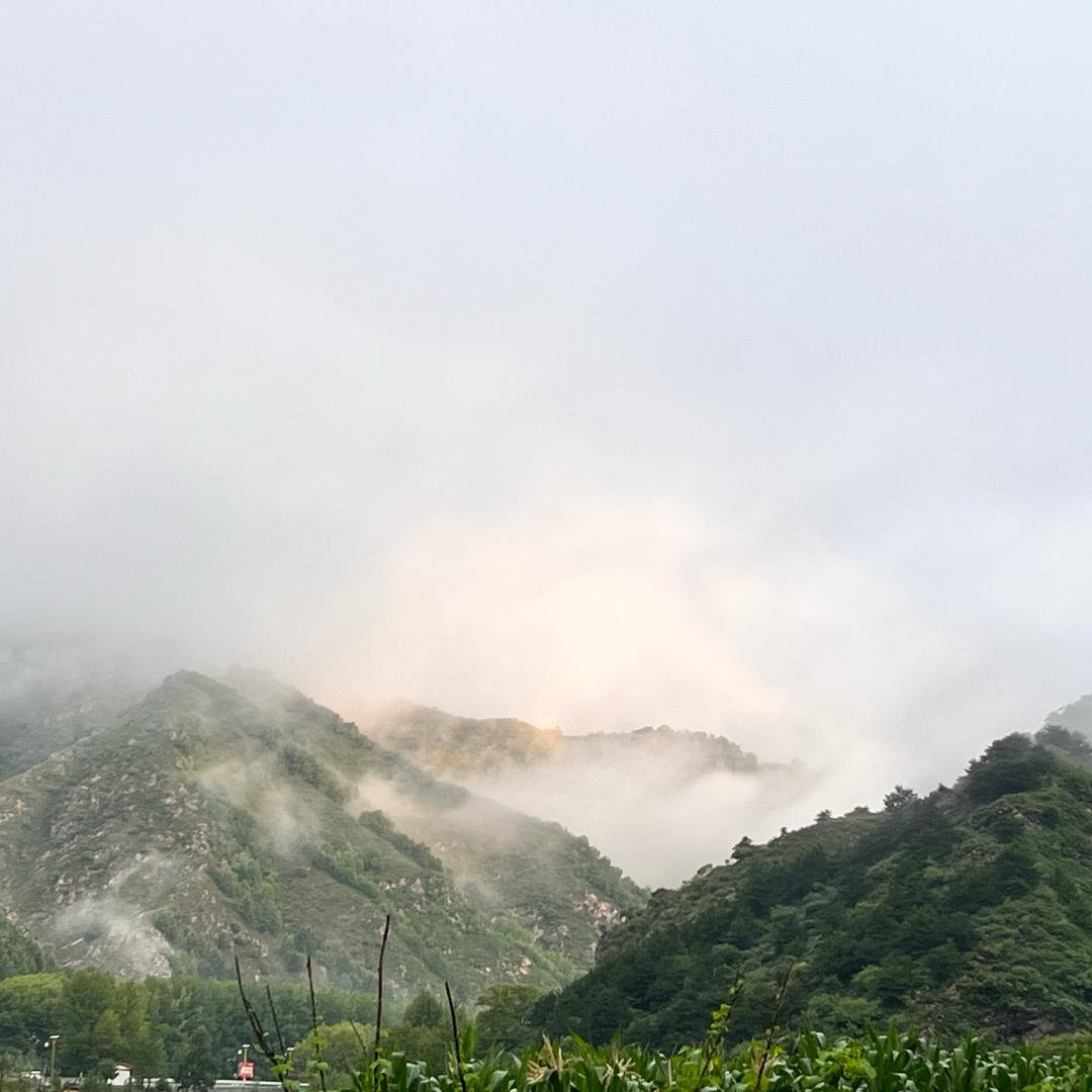 米莱菁致女装319