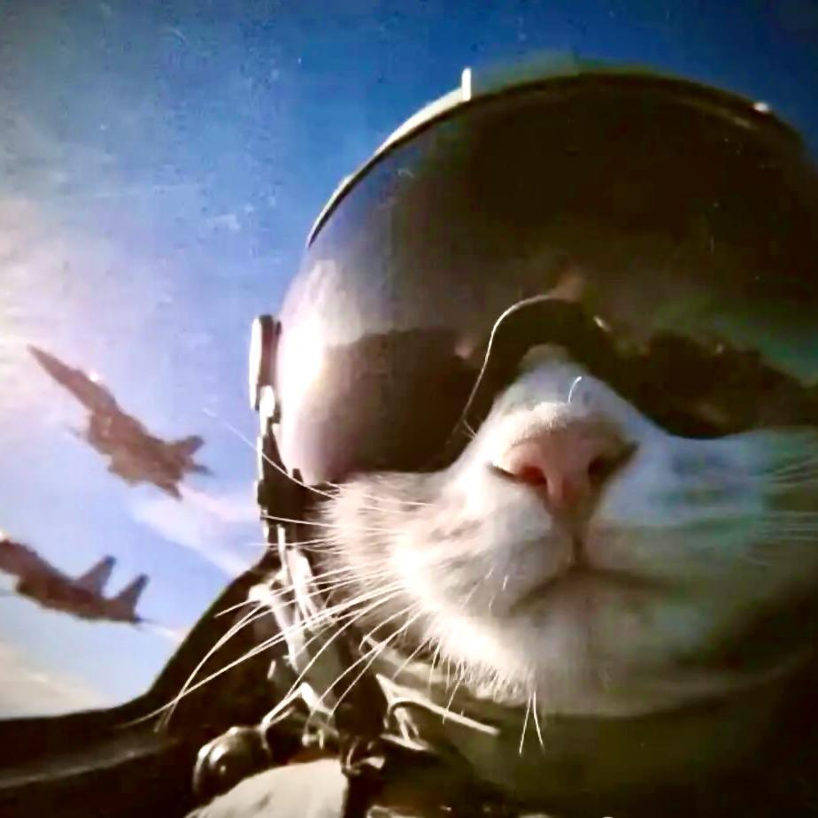 希岸强森 Johnsnon