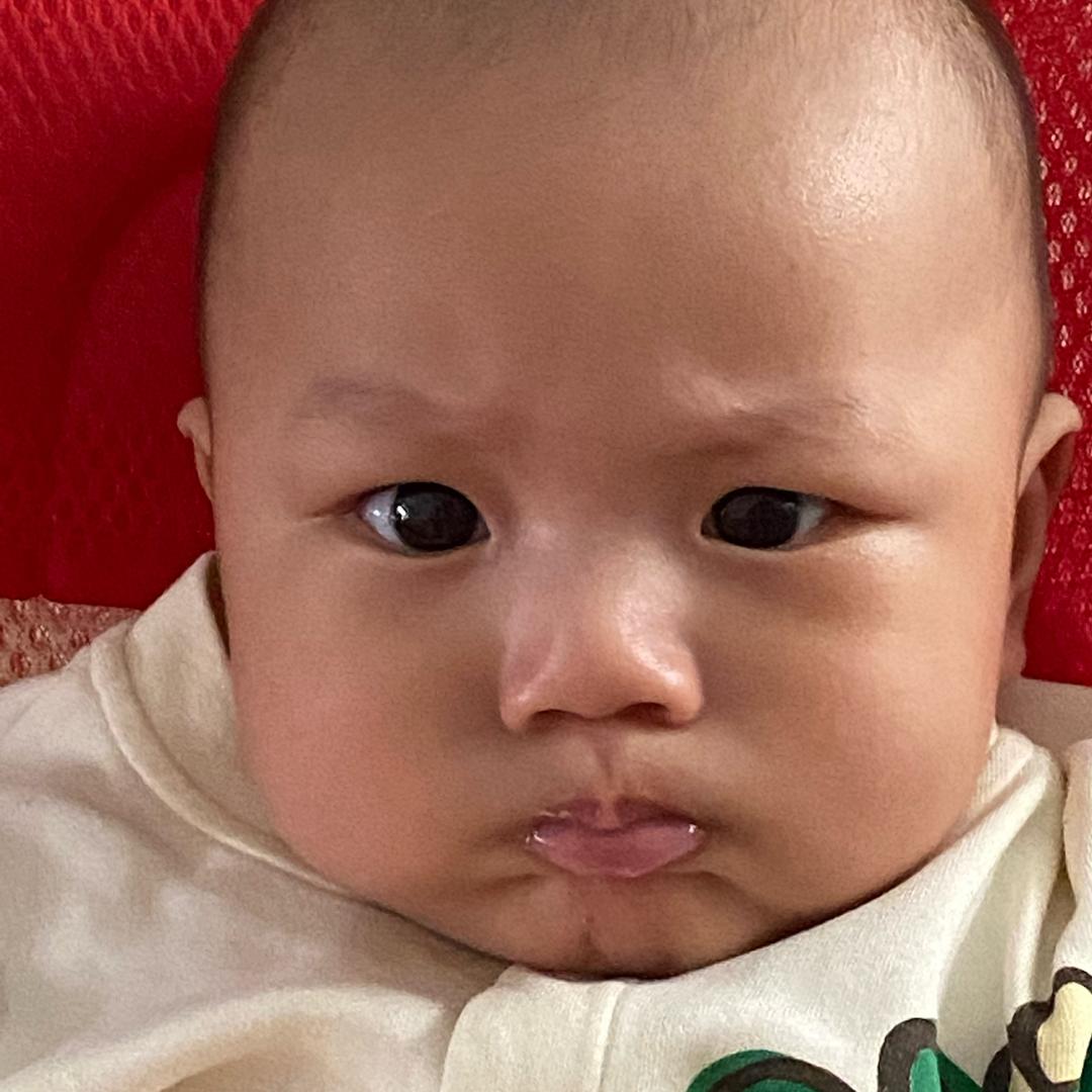 小石榴的饲养员