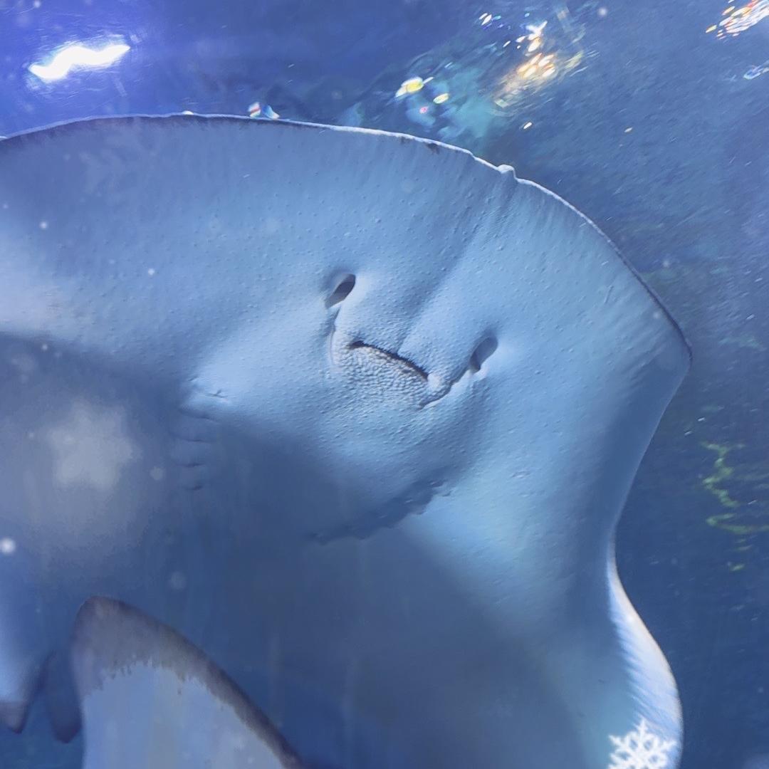 金昌海辰海洋馆