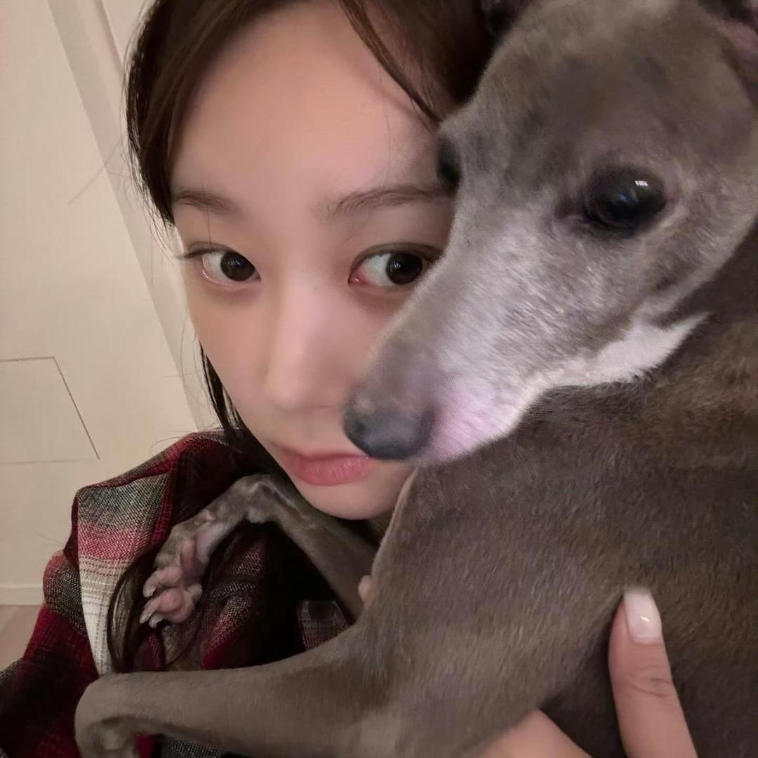 遇到困难睡大觉