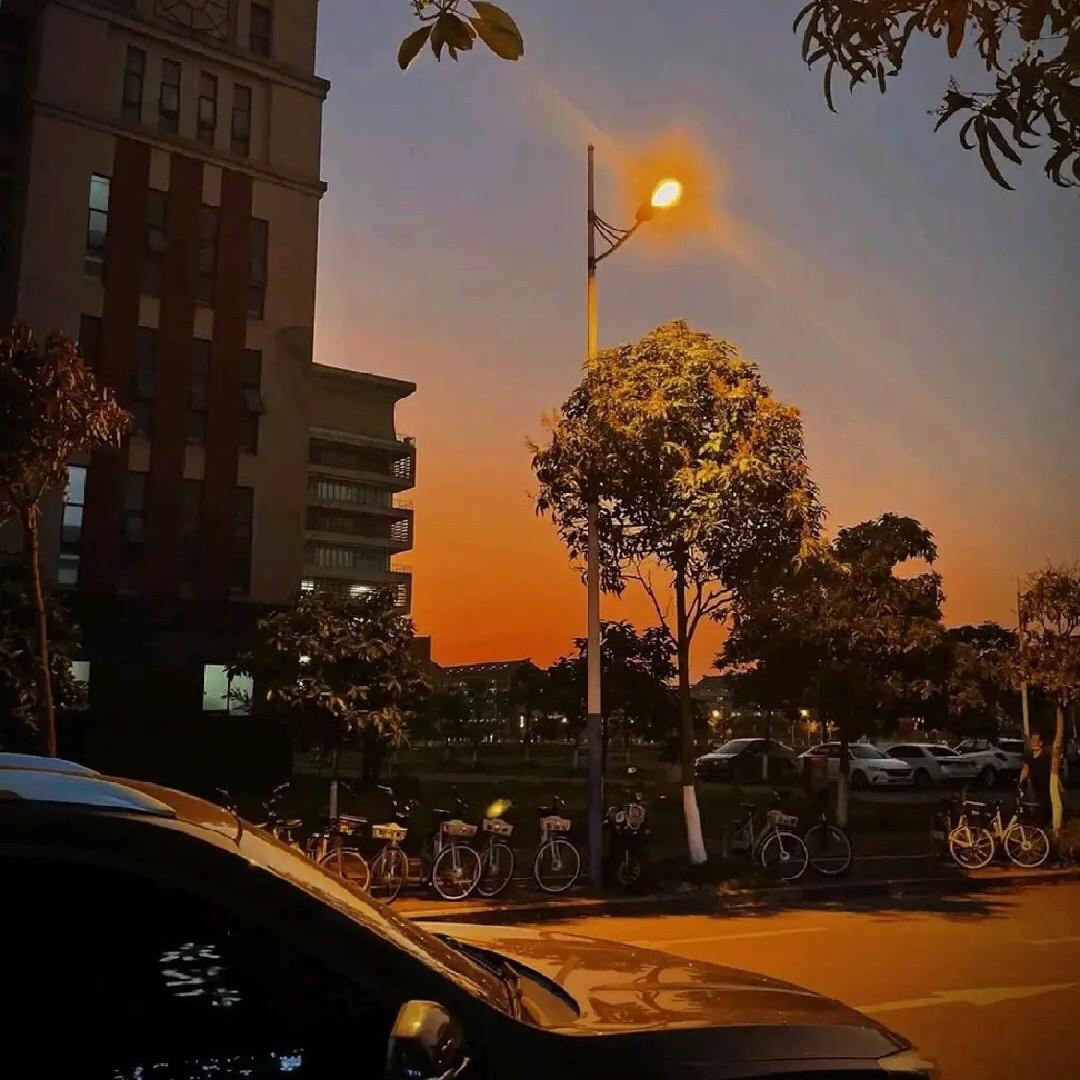陈大大☀️
