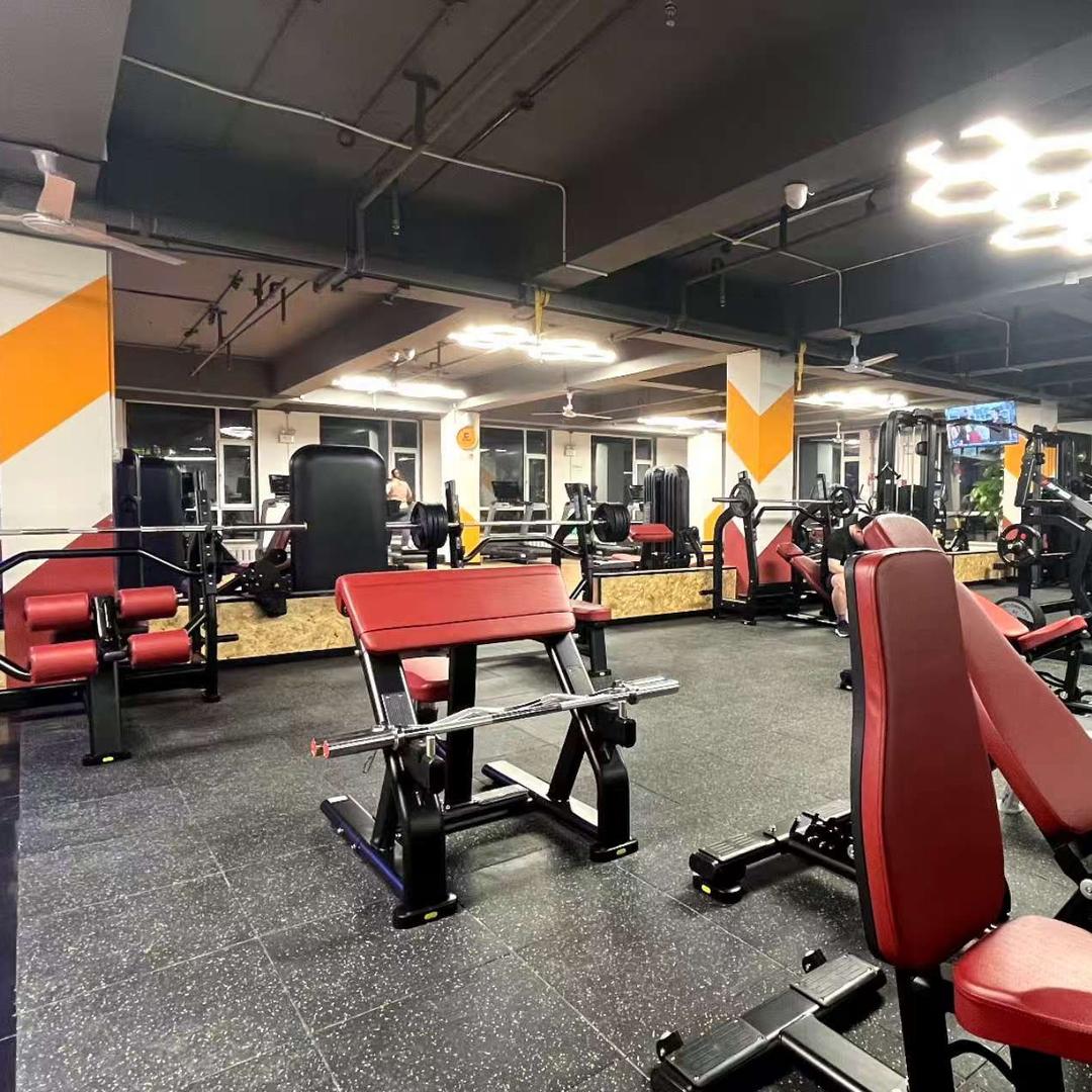 动感健身🏋️‍♀️