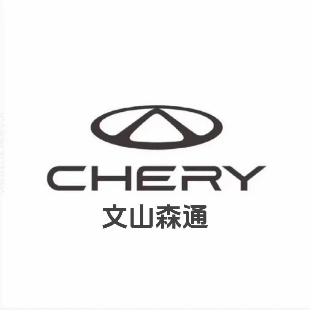 奇瑞文山森通4S店