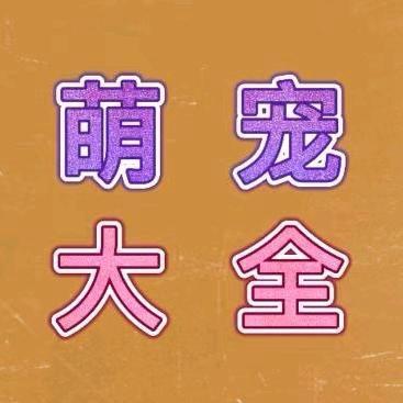 阿伟带你看宠物