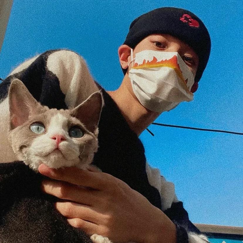 碳水杀手（发疯版）