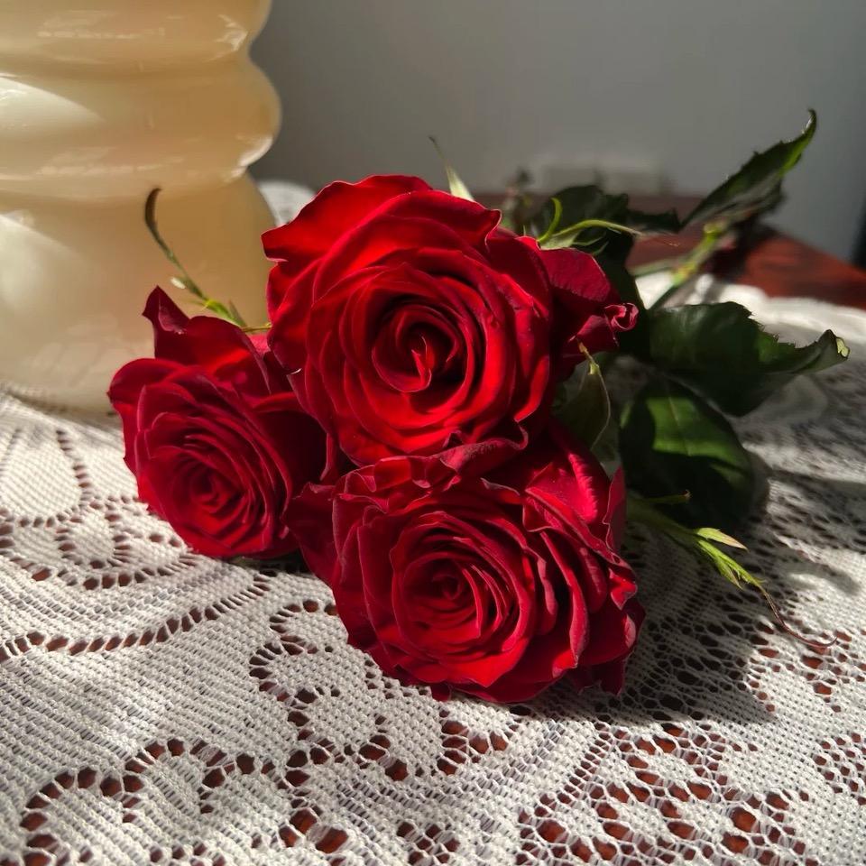 沃行-美妹儿说车