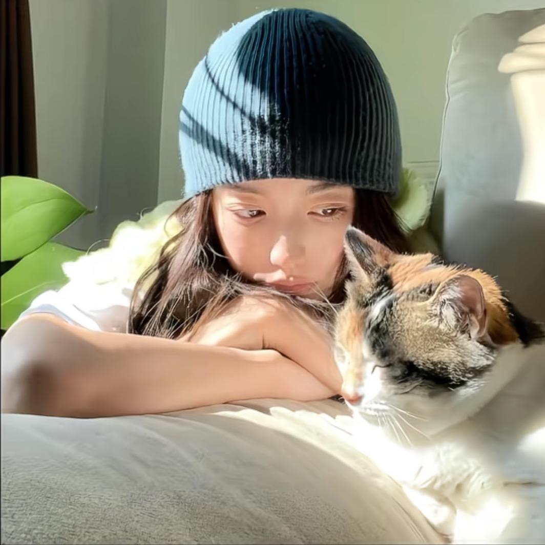 捣蛋猫🐱