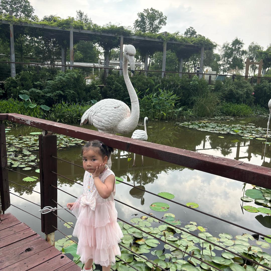 小海豚
