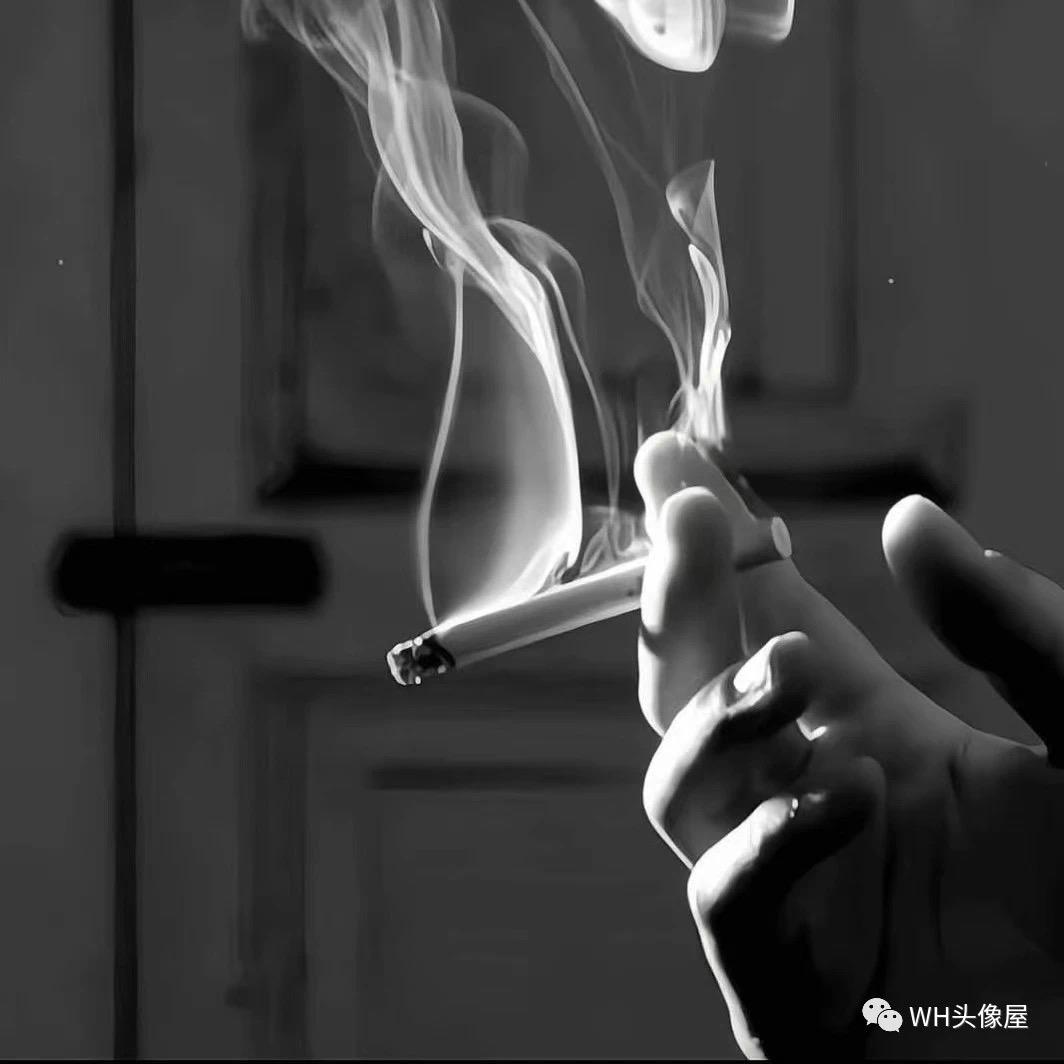 孤独的狼【拒绝】