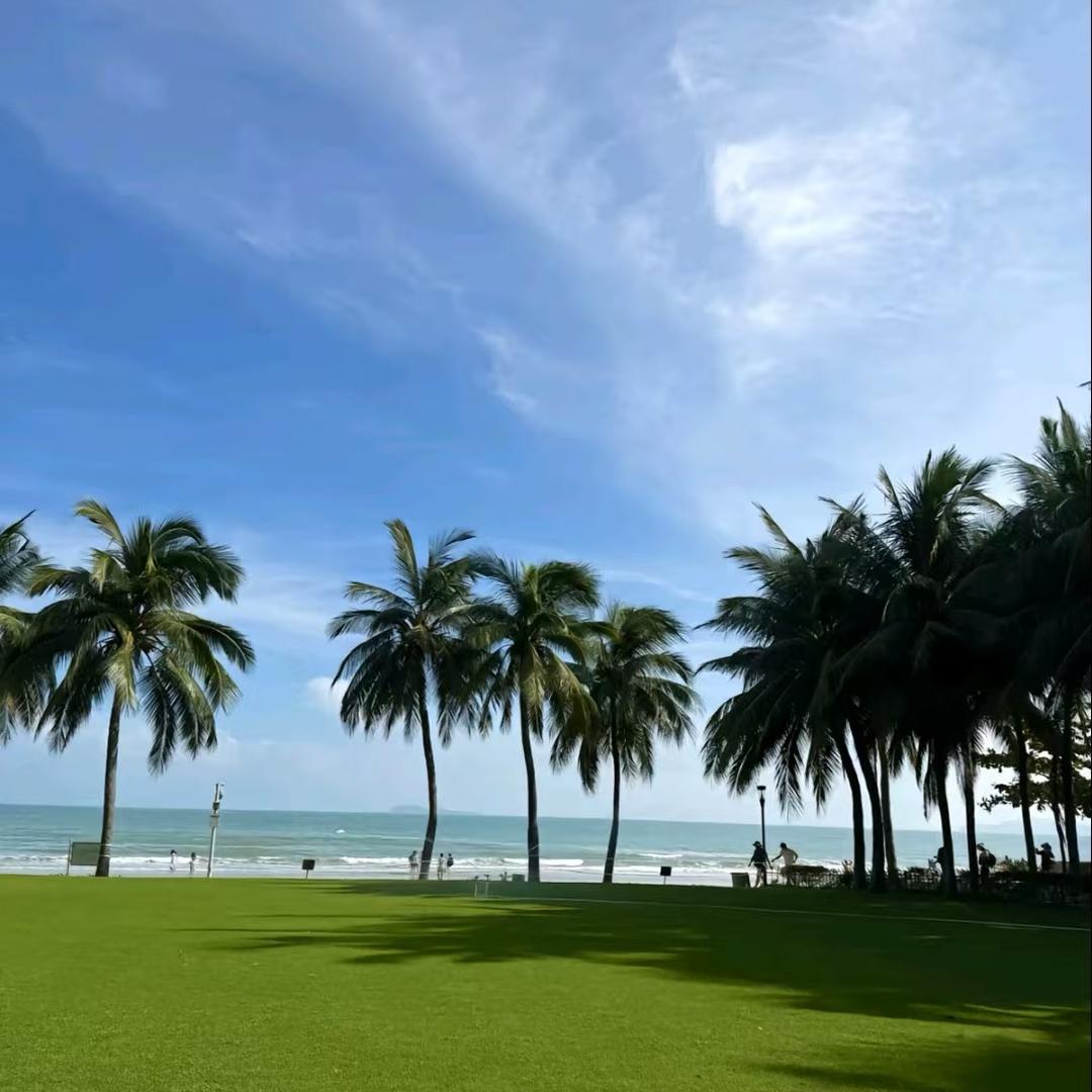 小芮的🏠（软装中）