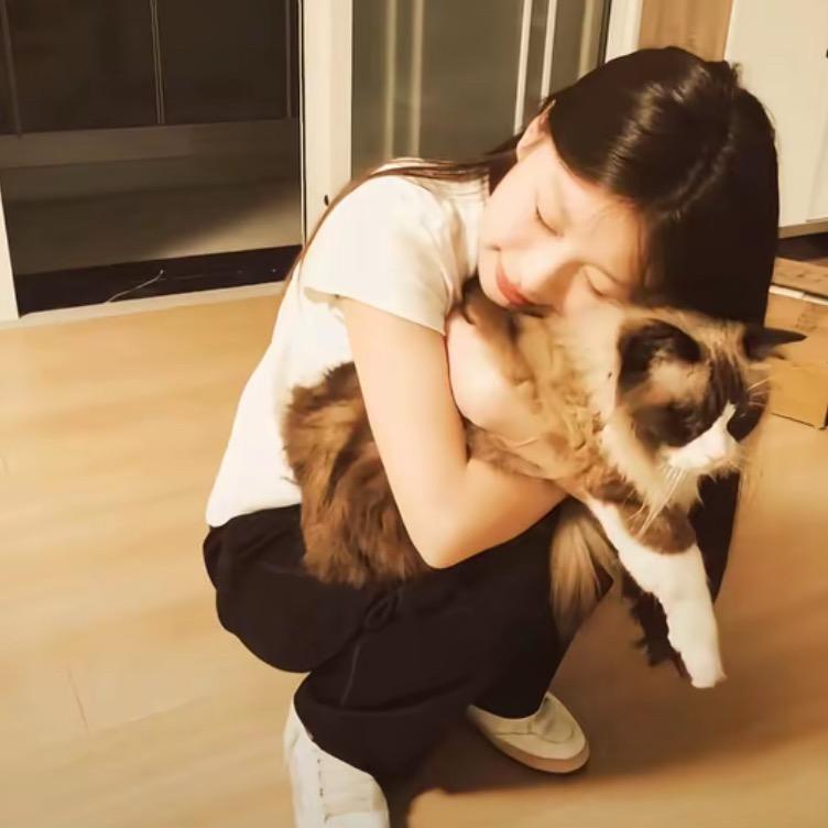 小D.