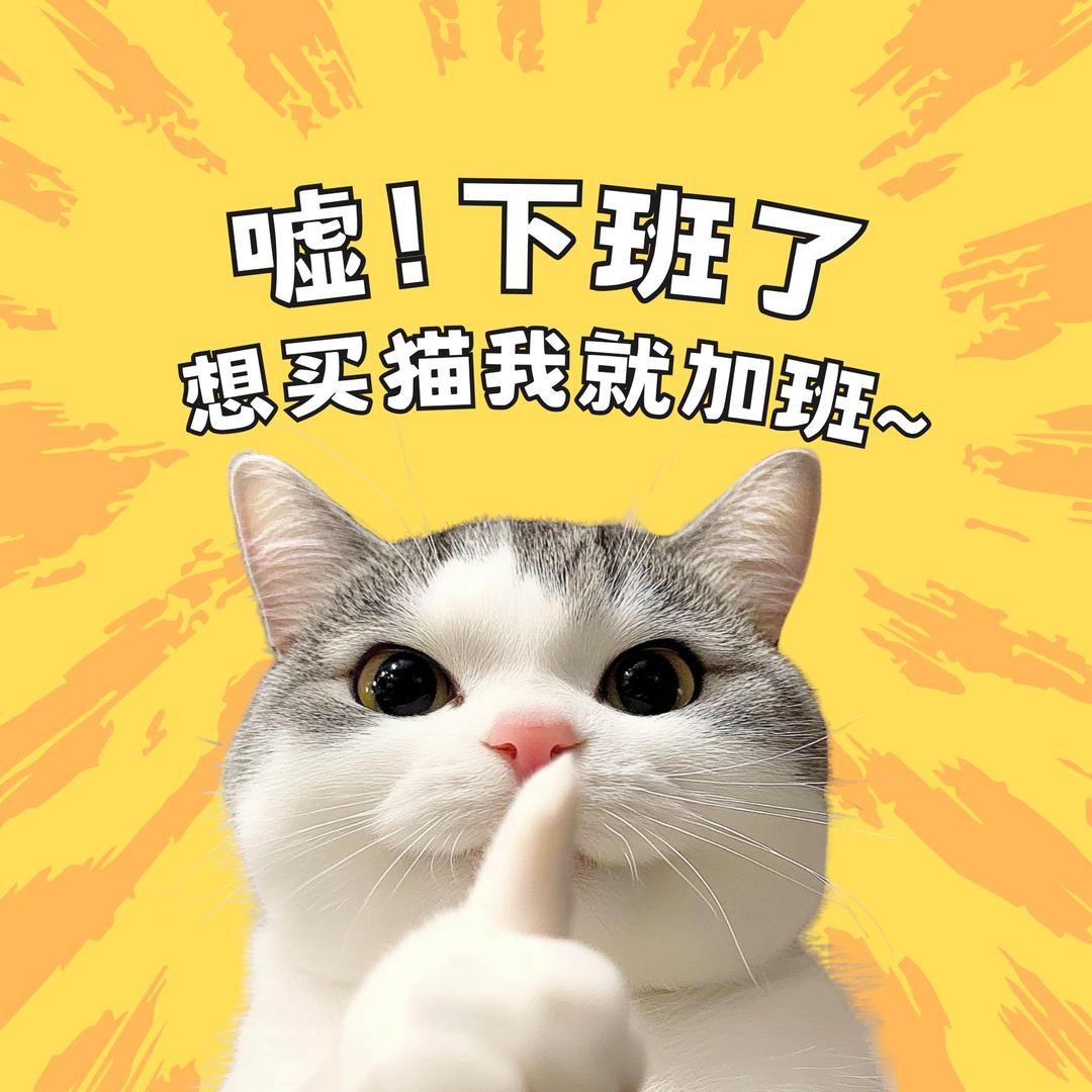 苏州优宠家宠物精选