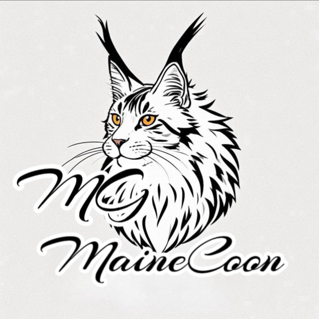 喵之冠宠物服务馆