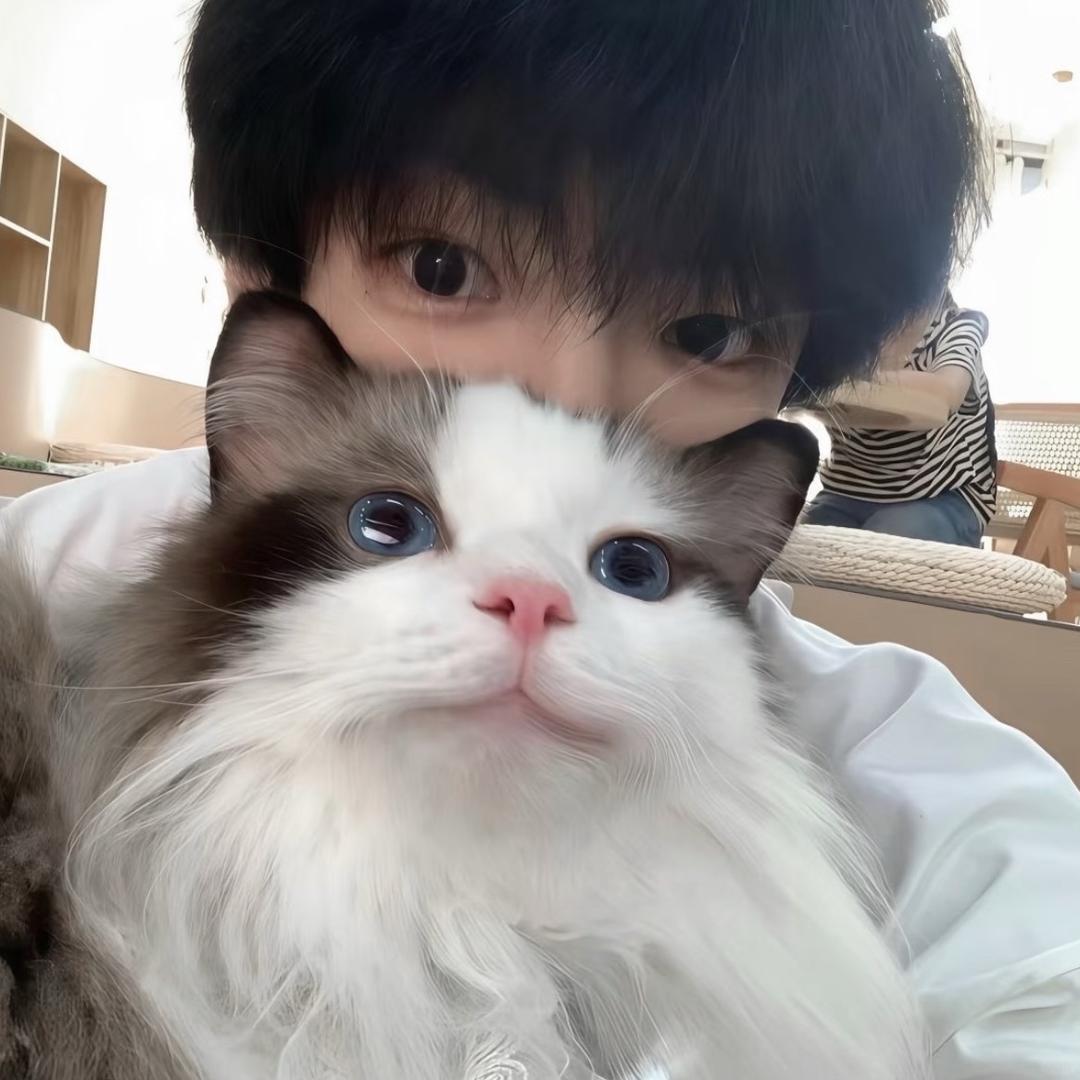 理一下我