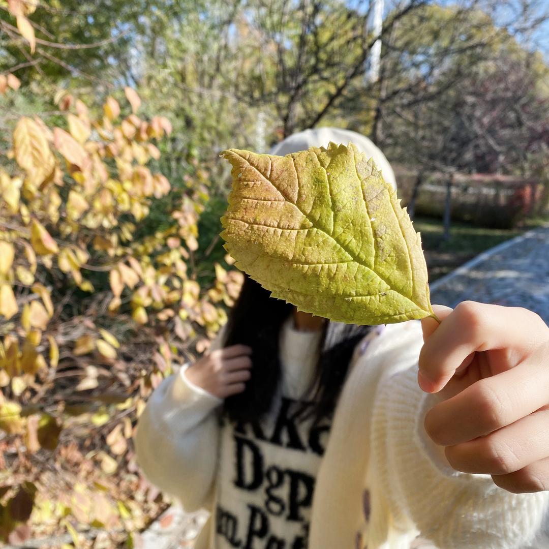 娜娜吖