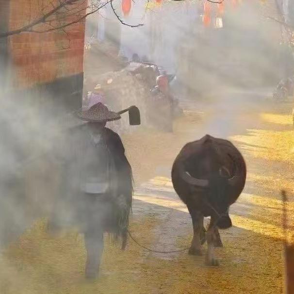 夕阳无限好