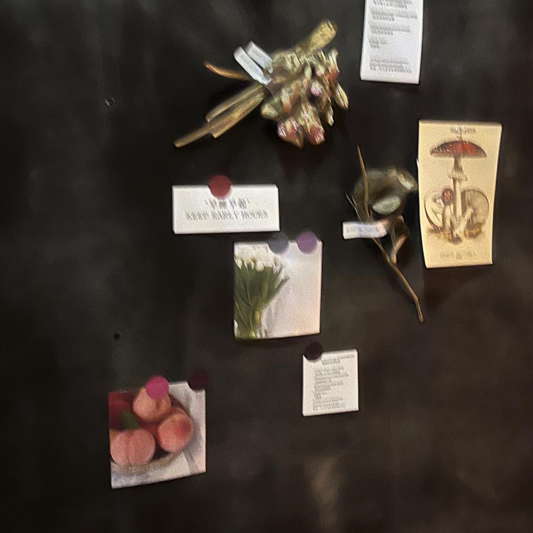 小狗日记