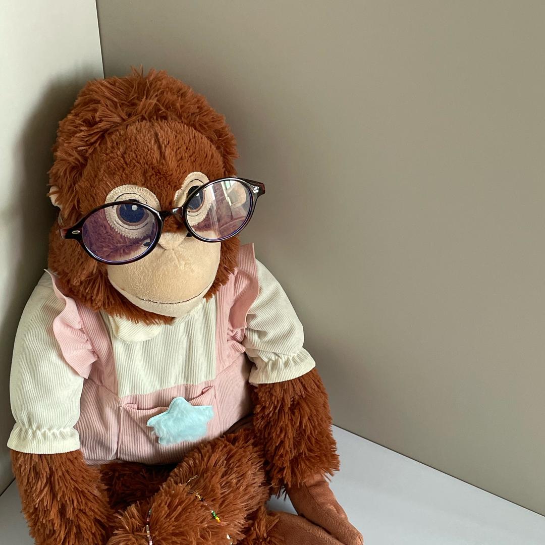 西木西木（礼包来噜