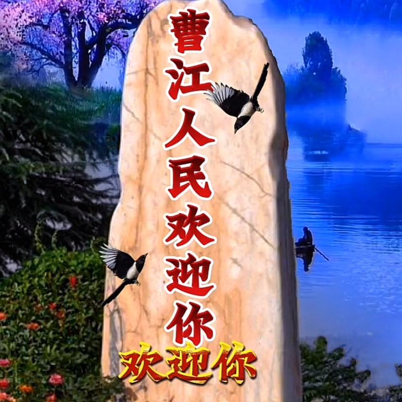 吴忧无虑（高州市）