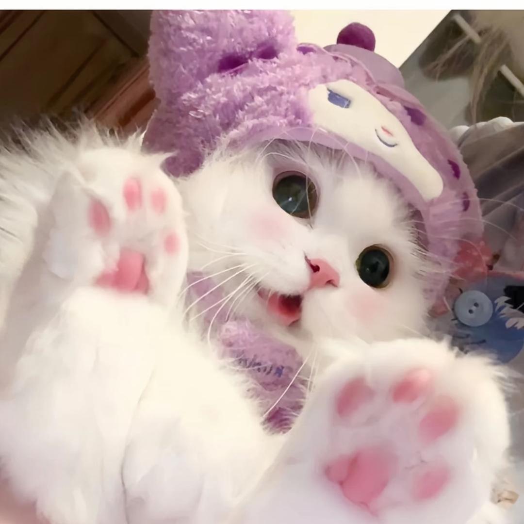 我才不要乖