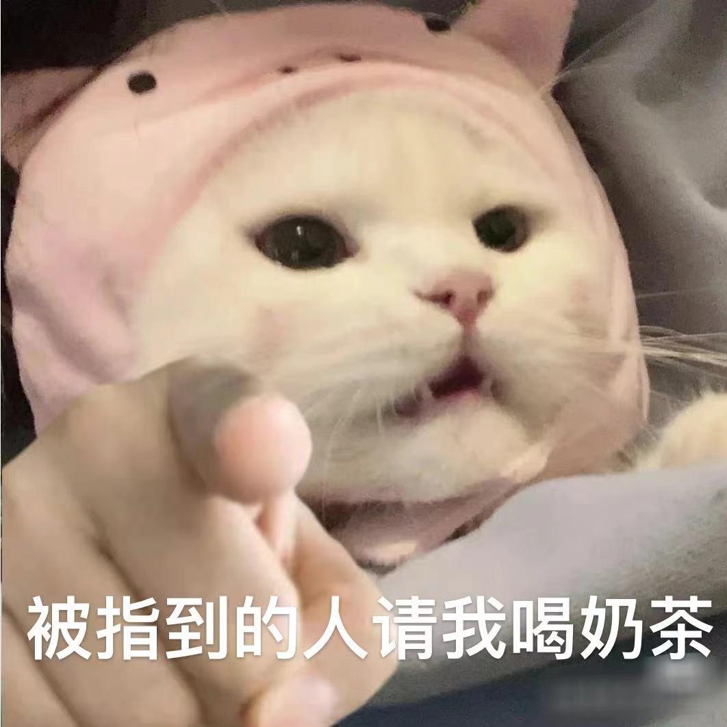 贪喝小茄