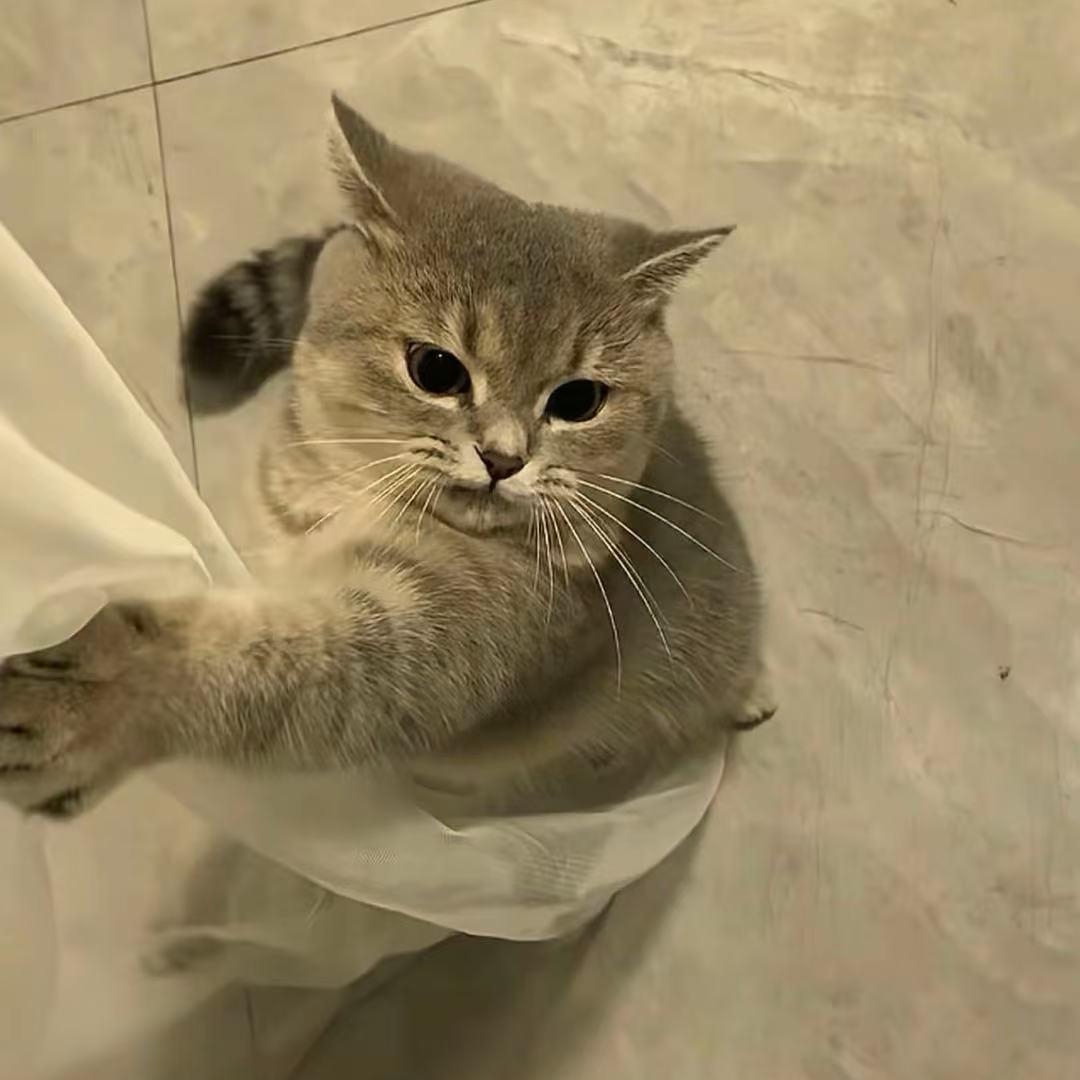 有灵
