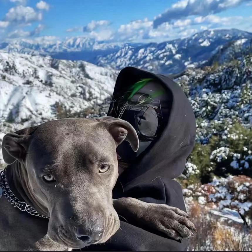 SG卡车🚚小龙🇸🇬新加坡