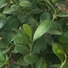 被遗忘的角落～