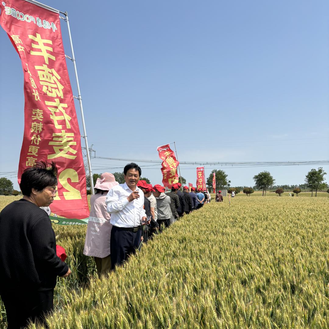 漯河市金田园农业科技有限公司