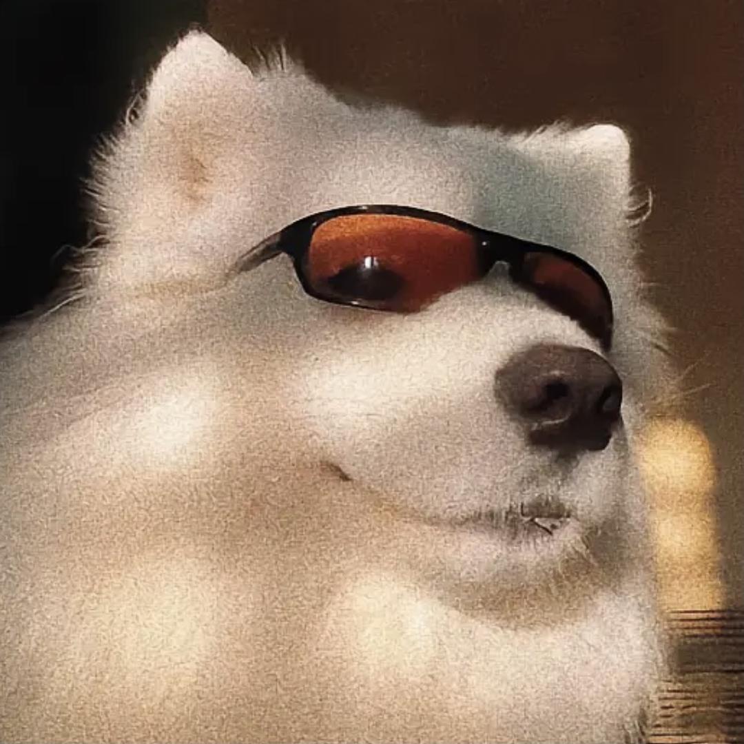 G程子