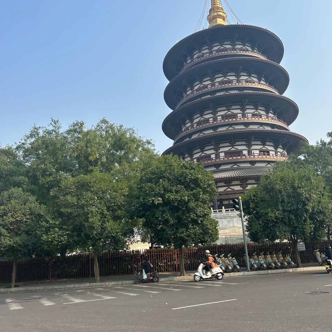 摆烂y