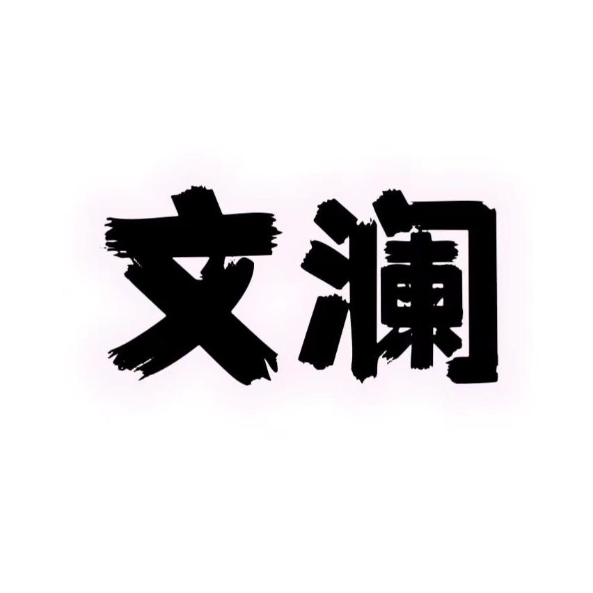 文澜数智(个人ip孵化）