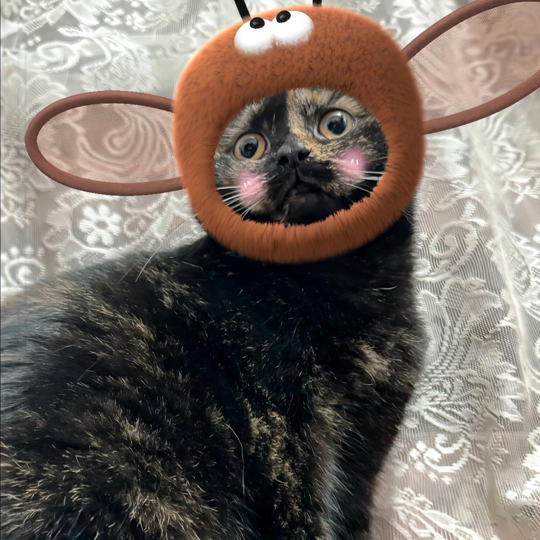 C0
