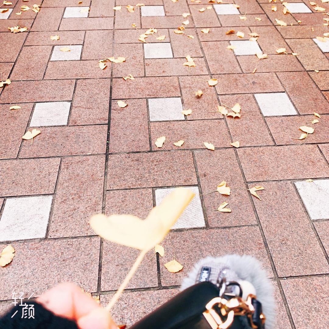 兮兮吖₍•ʚ•₎