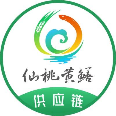 仙桃黄鳝供应链