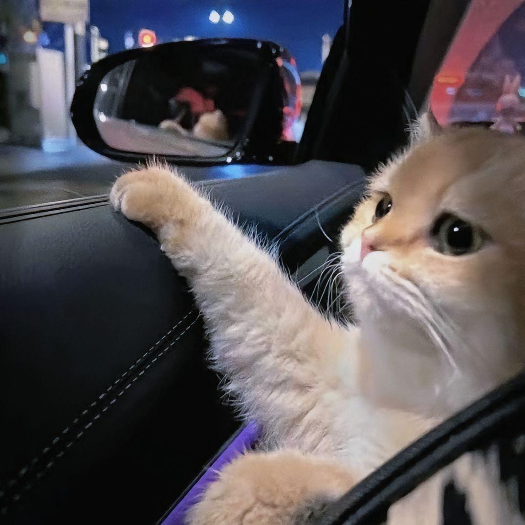雾中眠