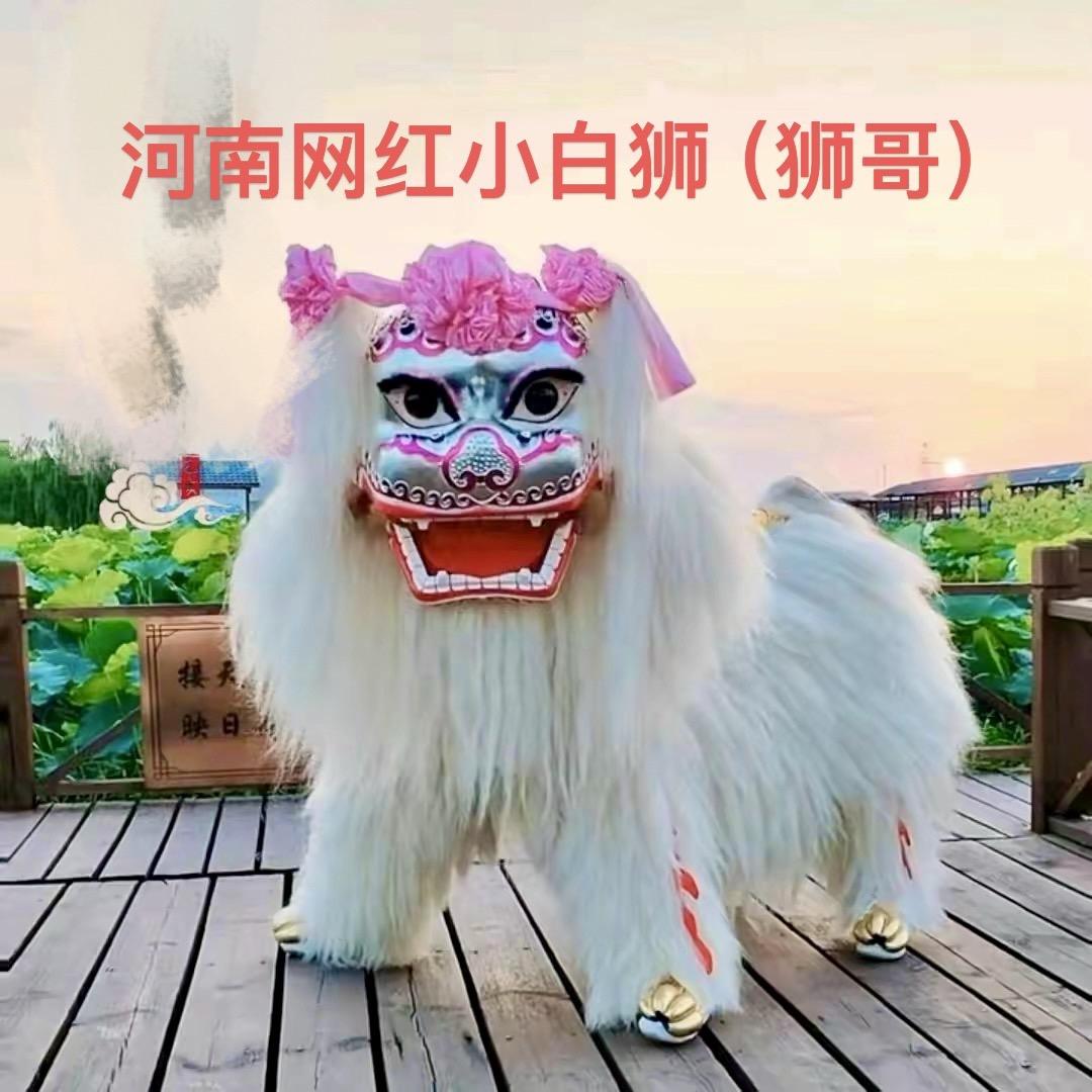河南许昌忠孝堂舞狮团
