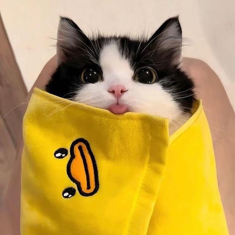 小水