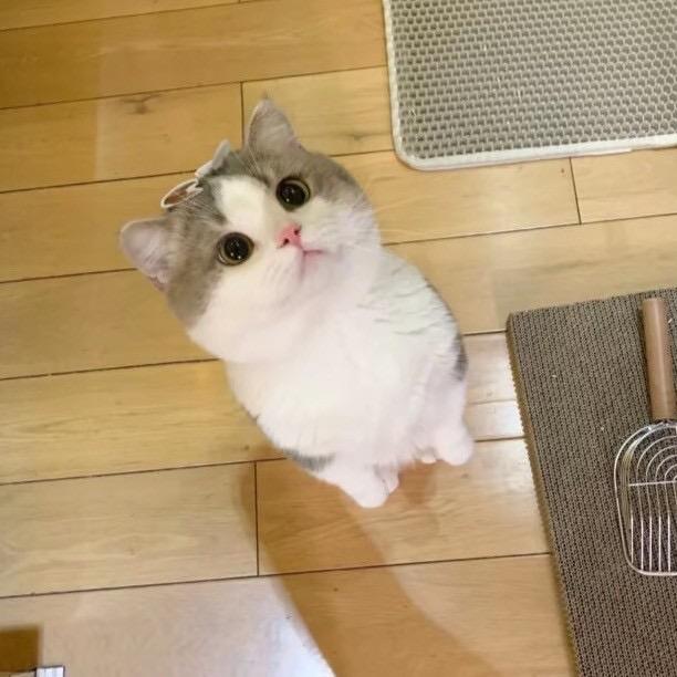 别后十三春