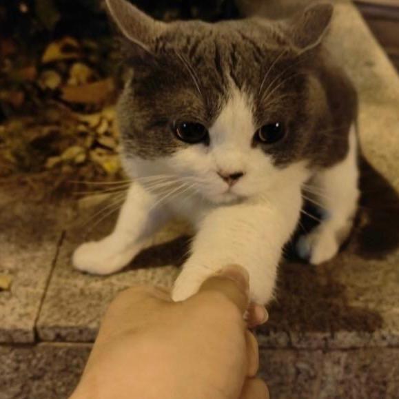 王林晨晨