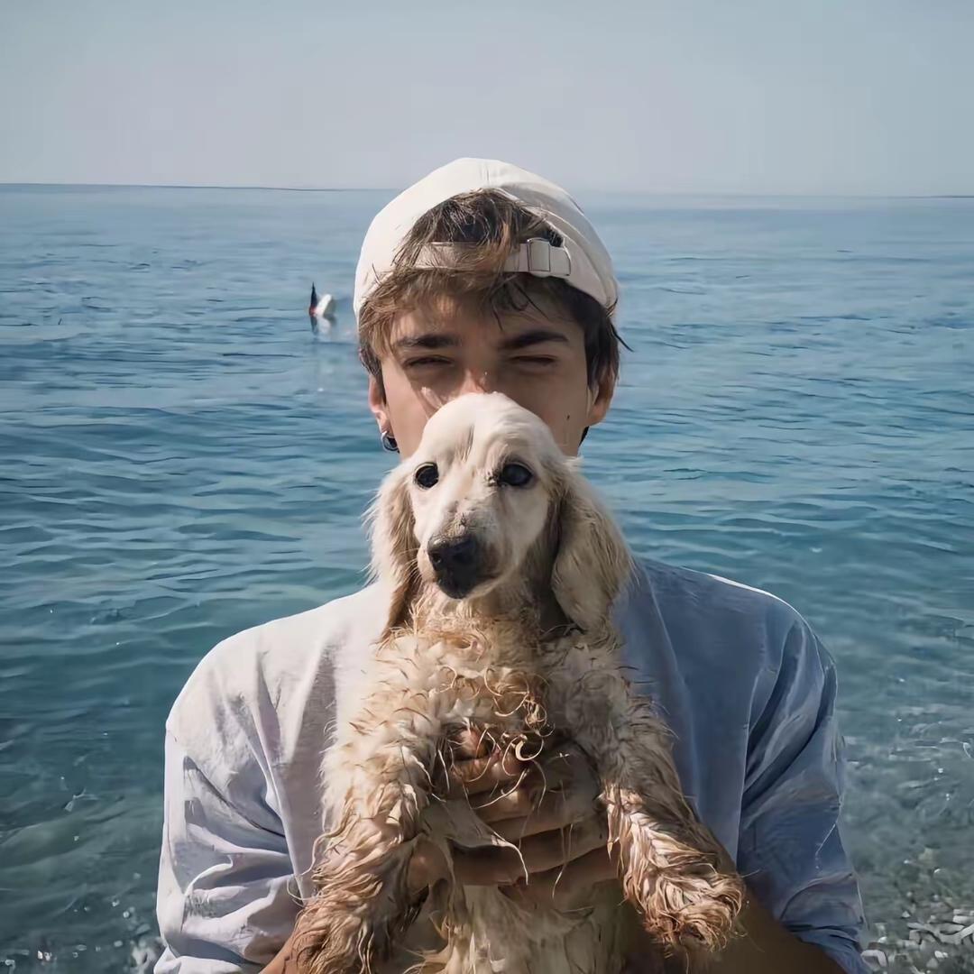 索尼克.
