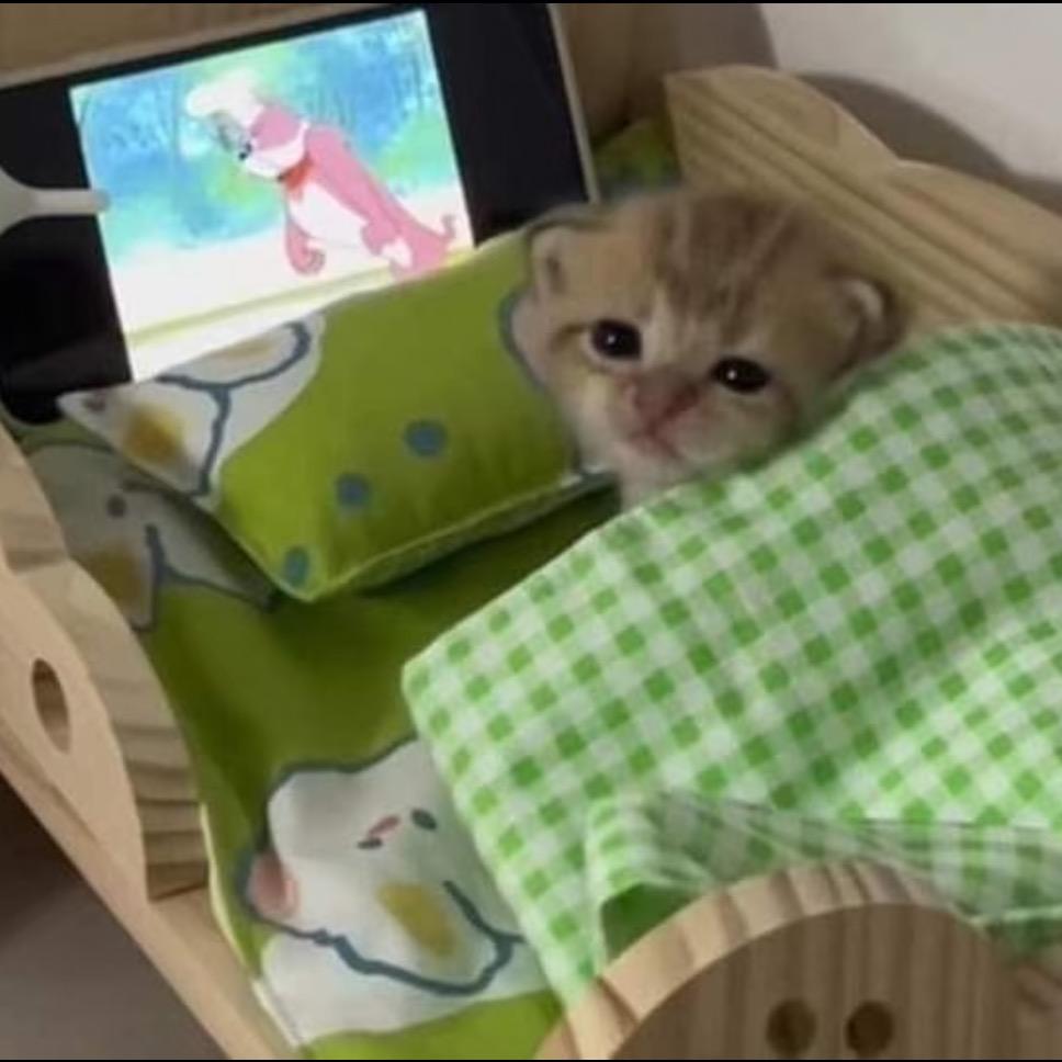 迅