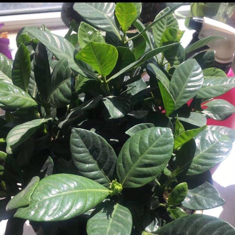 不温柔又能怎样