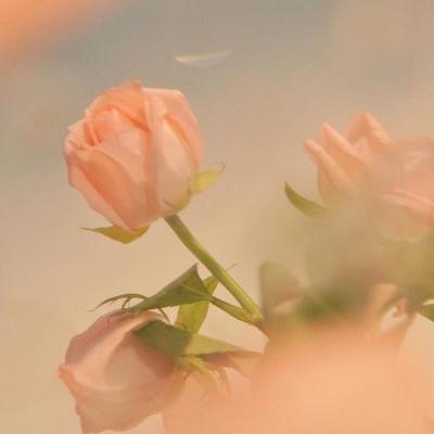 河津市城东双双百货店（个体工商户）